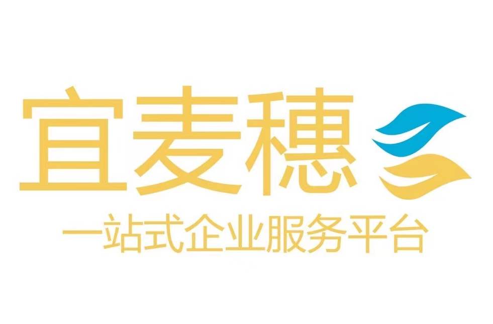 2026 宜宾公司注册全流程指南｜核名、地址、开户、税务一步到位